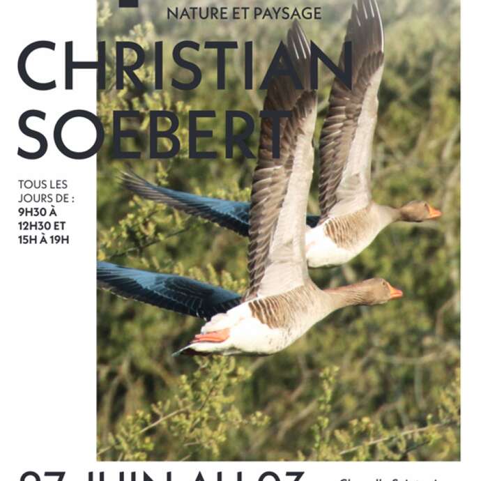Exposition de Christian Soebert