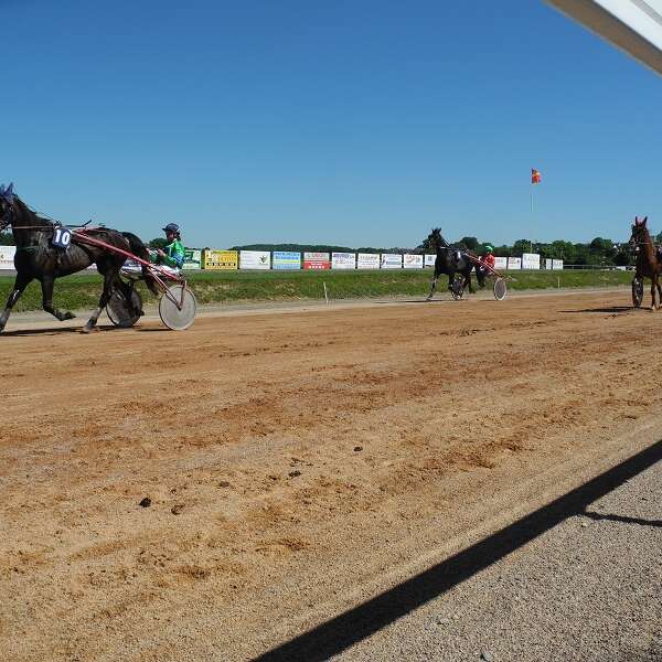 Courses hippiques