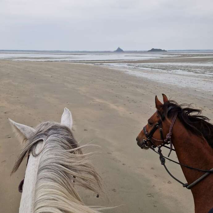 Randonnée à cheval 3 jours en baie du Mont Saint-Michel - Bec d'Andaine - Val Saint Père