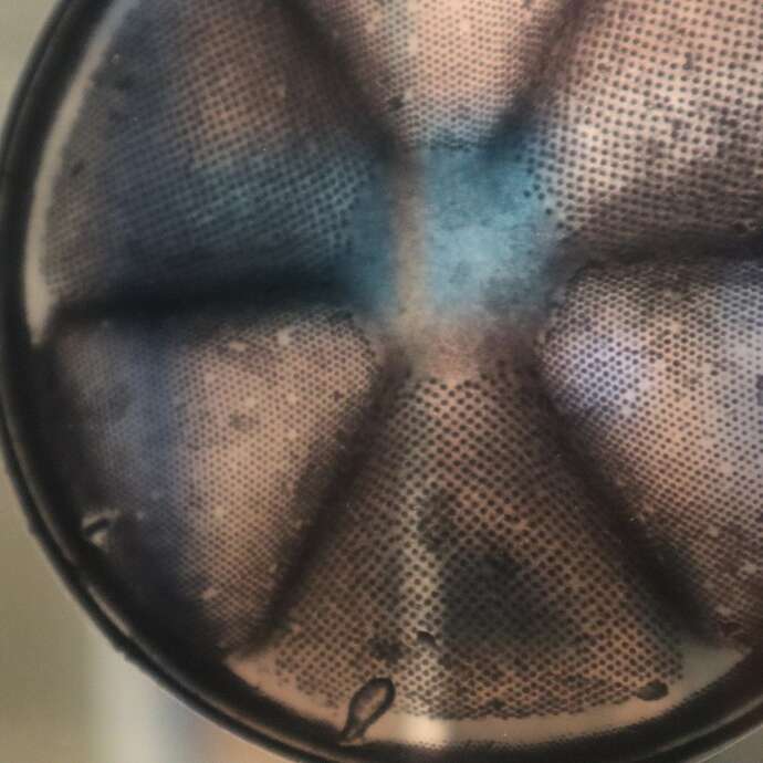 P'tite visite sur l'infiniment petit