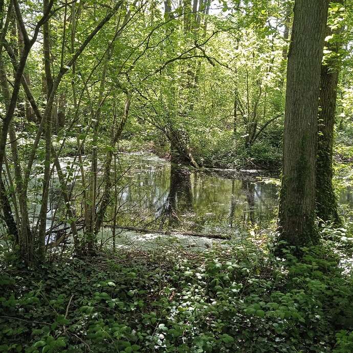 Vendredis "nature" : de l'argile au pot