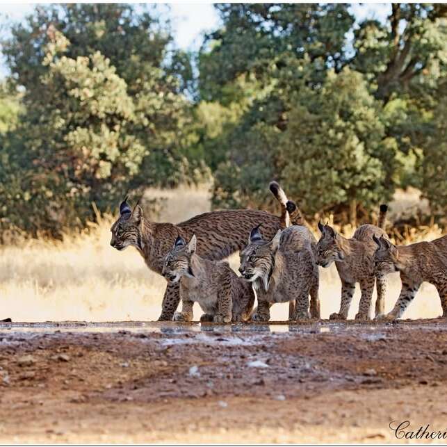 Exposition photos "Magnifique nature"