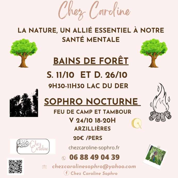 Sophro nocturne en forêt