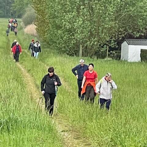 RANDONNEE PEDESTRE 11 MAI 2025