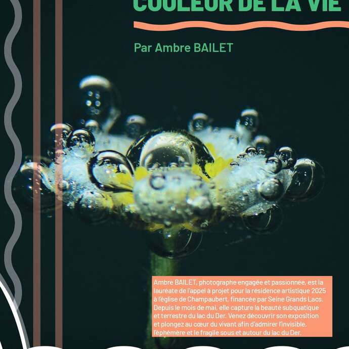 Journées du Patrimoine : Exposition "Vert, Couleur de la Vie"