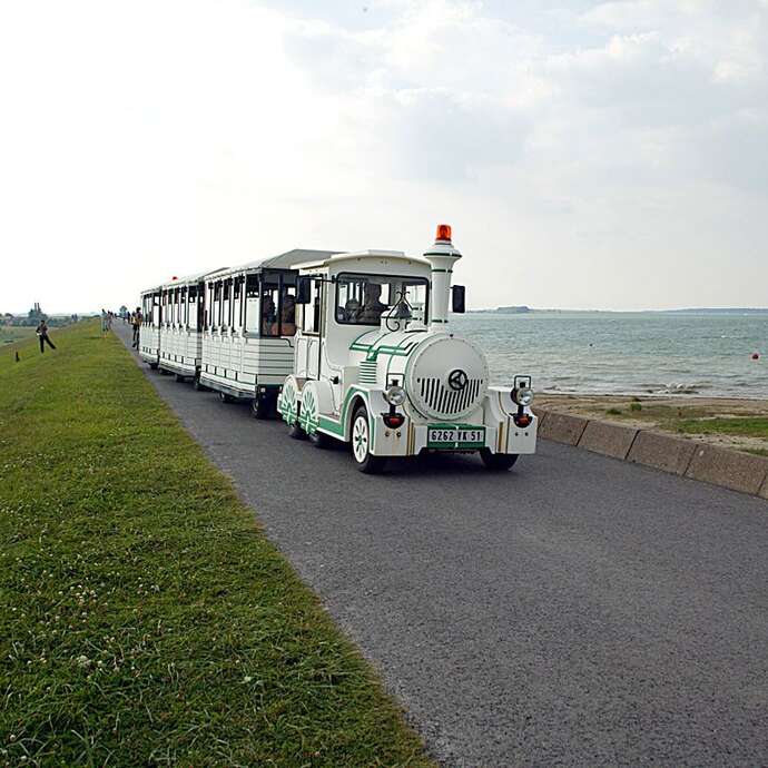 Train aux oiseaux