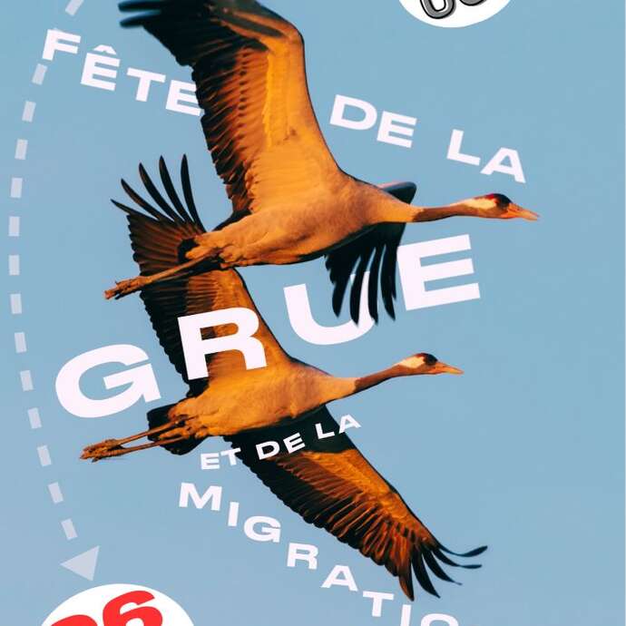 Fête de la Grue et de la migration
