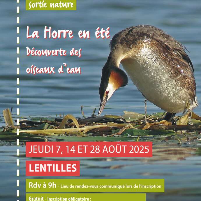 La Horre en été : découverte des oiseaux d'eau