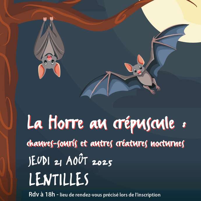 La Horre au crépuscule : chauves-souris et autres nocturnes