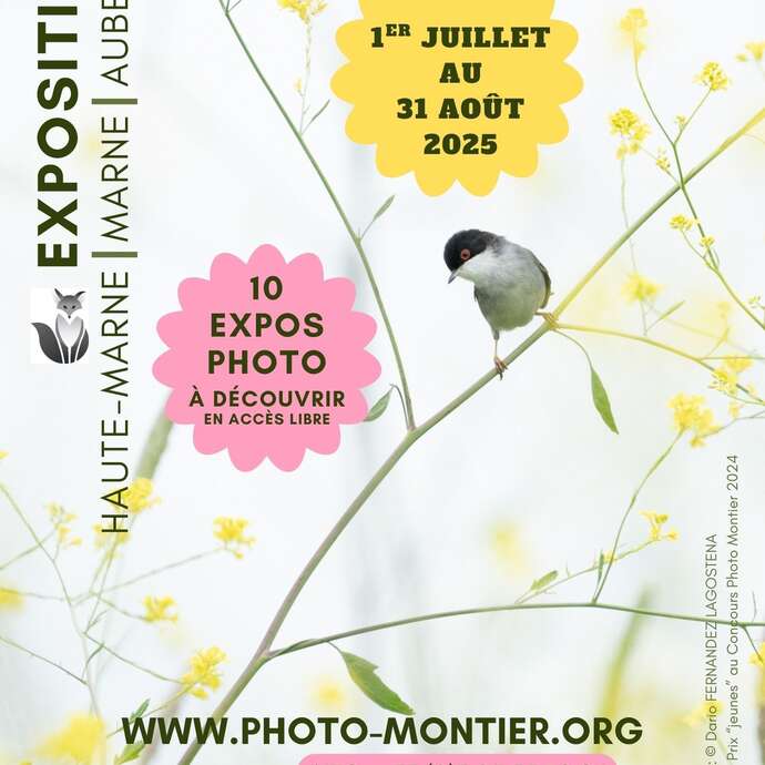 Balade estivale de Photo Nature