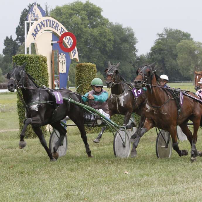 Courses hippiques (Tout trop)