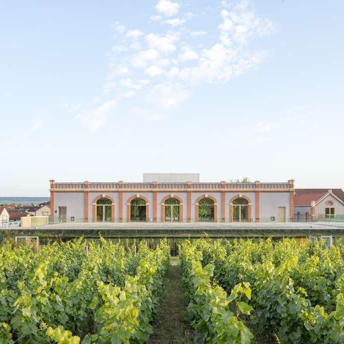 Pressoria - Voyage sensoriel au cœur de la Champagne
