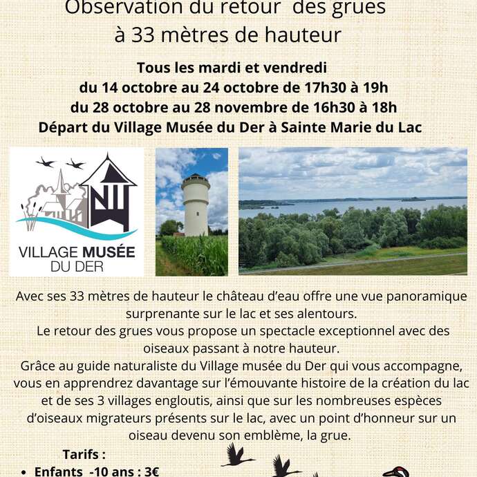 Sortie ornithologique au Château d'eau