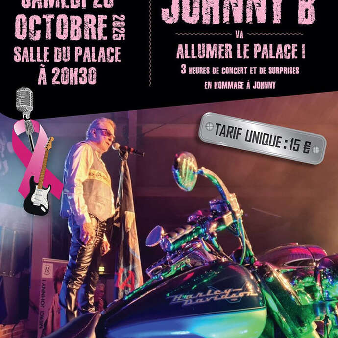 Concert : Johnny B en concert hommage à Johnny