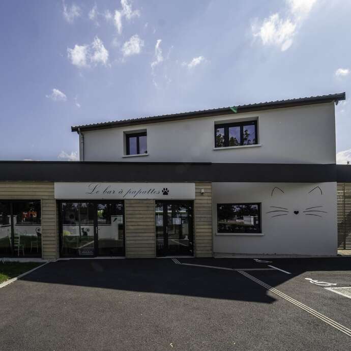 Bar à Papattes