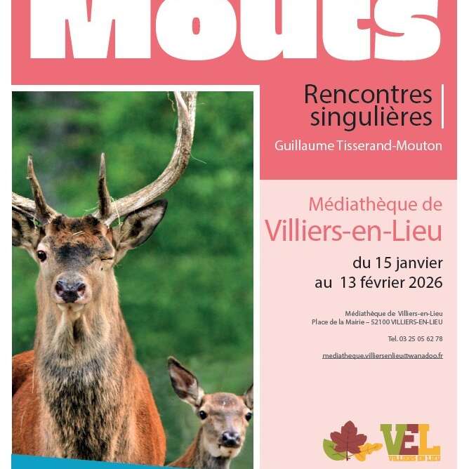 Exposition Mouts