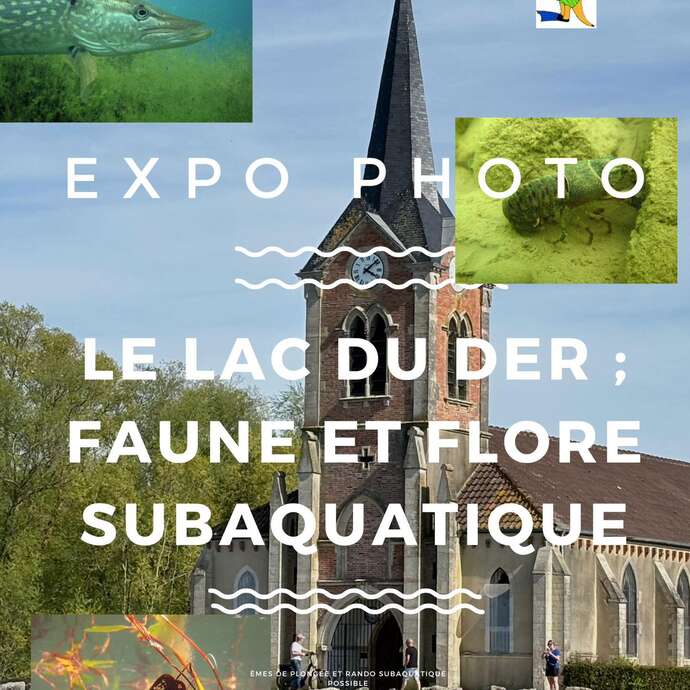 Faune et flore subaquatique