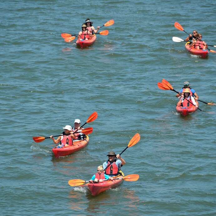 Escapades : Sortie en kayak à la découverte de l'histoire du Lac du Der