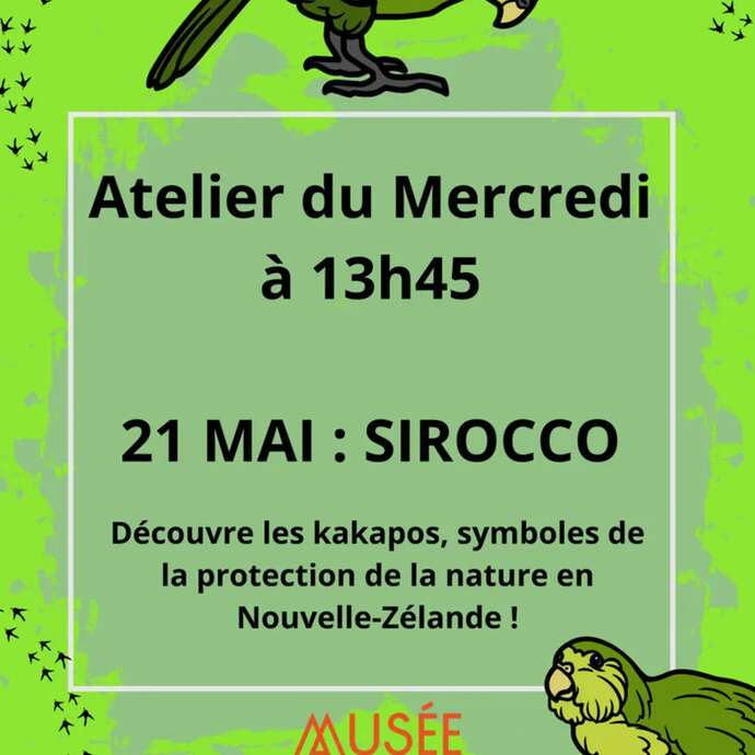 Atelier du Mercredi : Sirocco le kakapo !