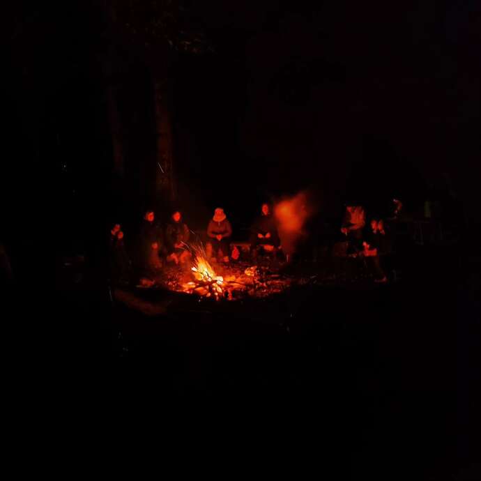 Sophro nocturne en forêt