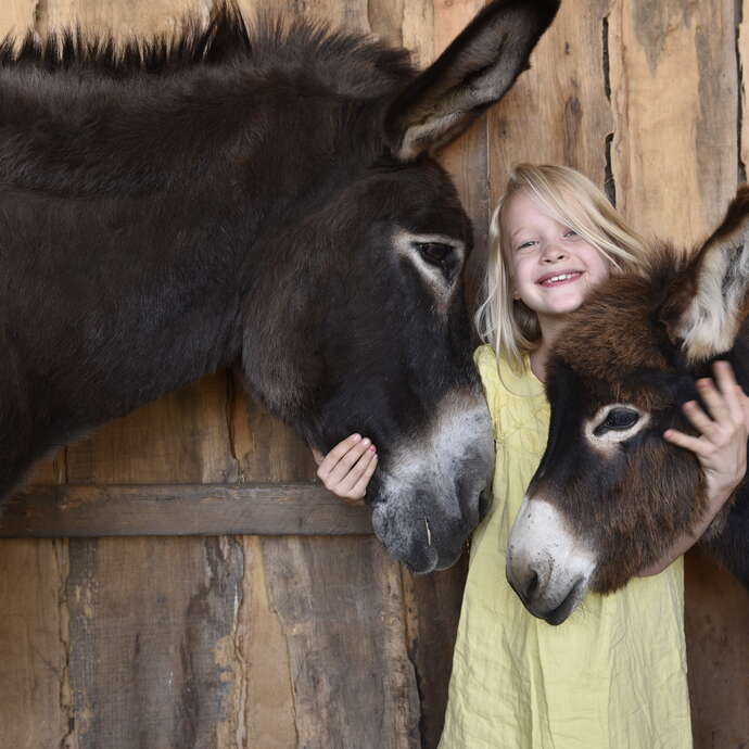 Asinerie du Bois Gamats