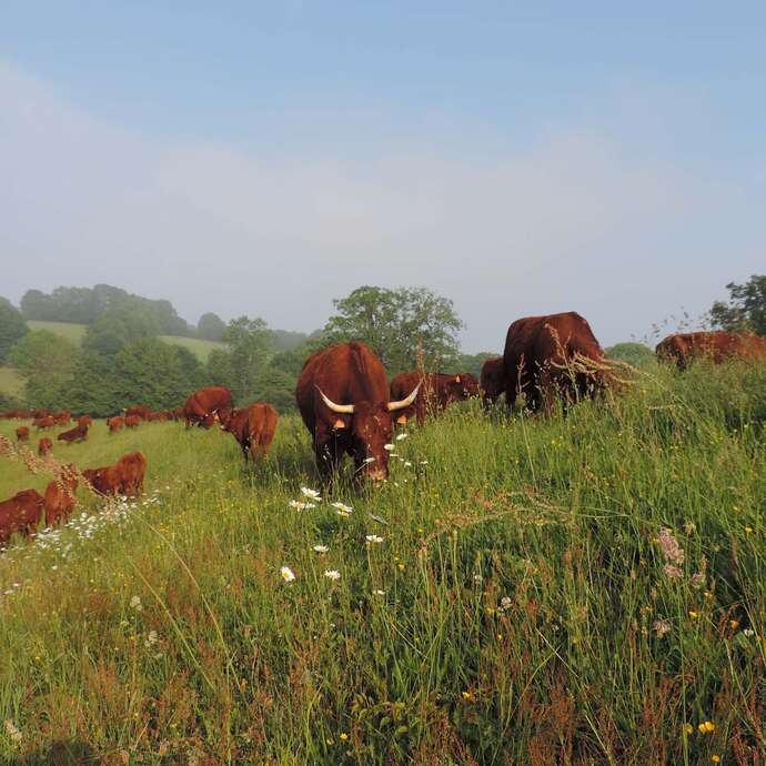 LA FERME A TOUT BOUT DE CHAMP