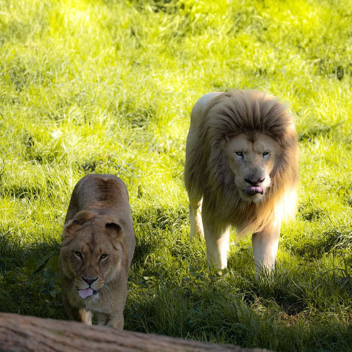 Points rencontre au Refuge de l'Arche
