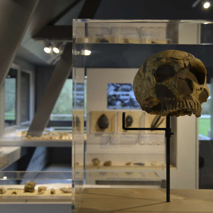 MUSÉE DE PRÉHISTOIRE