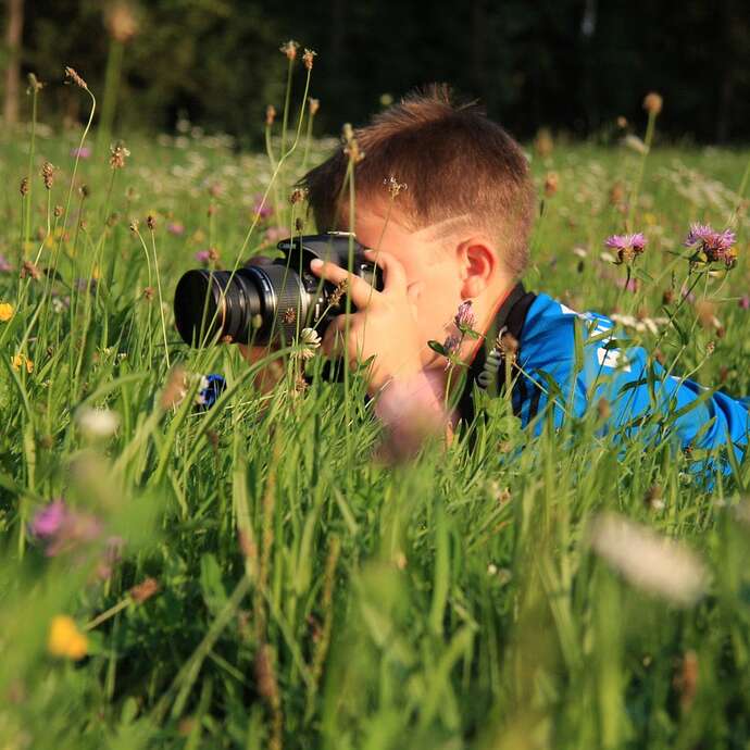 À la découverte de la faune et la flore du bocage