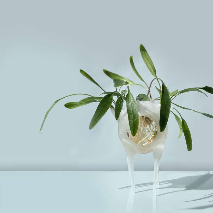 VISITE-ATELIER DE FORMES FERTILES