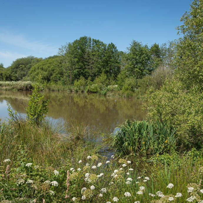 Découverte de la base de loisirs