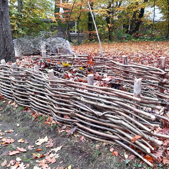 Atelier jardinage - Création d'une haie sèche