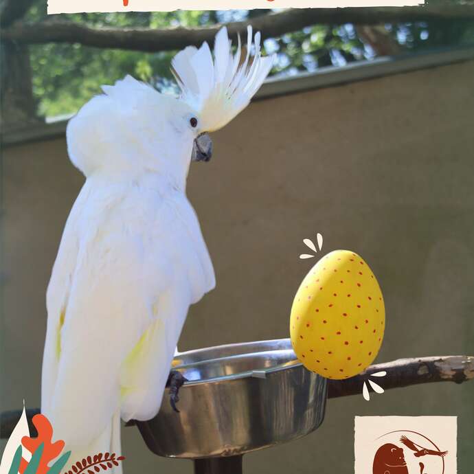 Pâques au Refuge de l'Arche