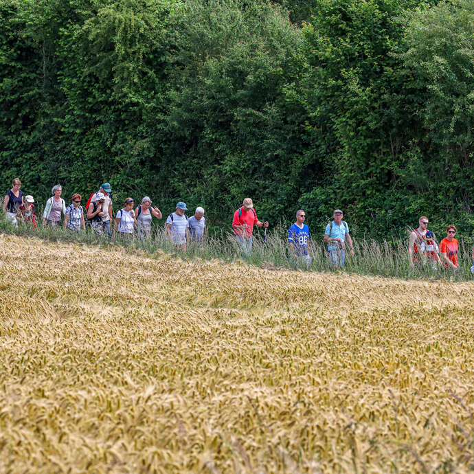 RANDONNÉE PÉDESTRE