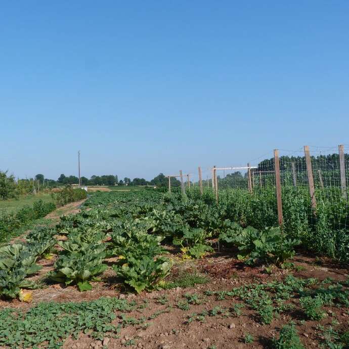 Fruits et légumes - Les Vergers de Soucé