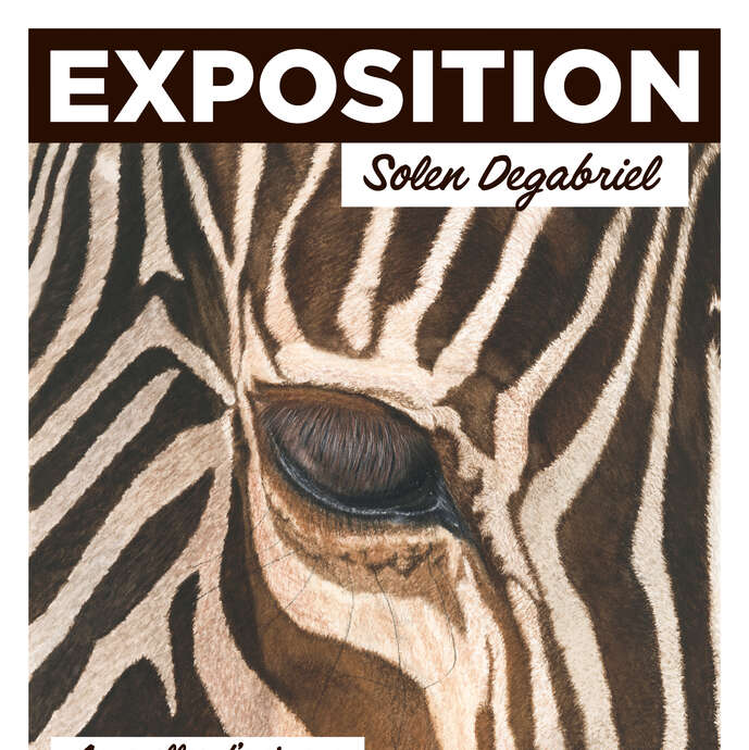 "Aquarelles d'animaux"