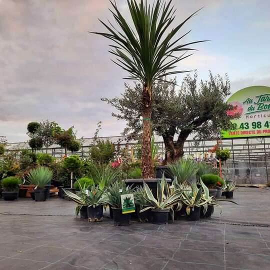 LES SERRES "AU JARDIN DU BONHEUR"