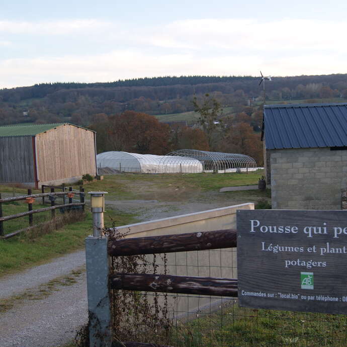 ENTREPRISE DE MARAICHAGE "POUSSE QUI PEUT"