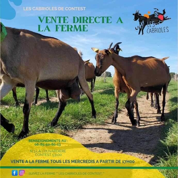 CHEVRERIE LES CABRIOLES - CONTEST