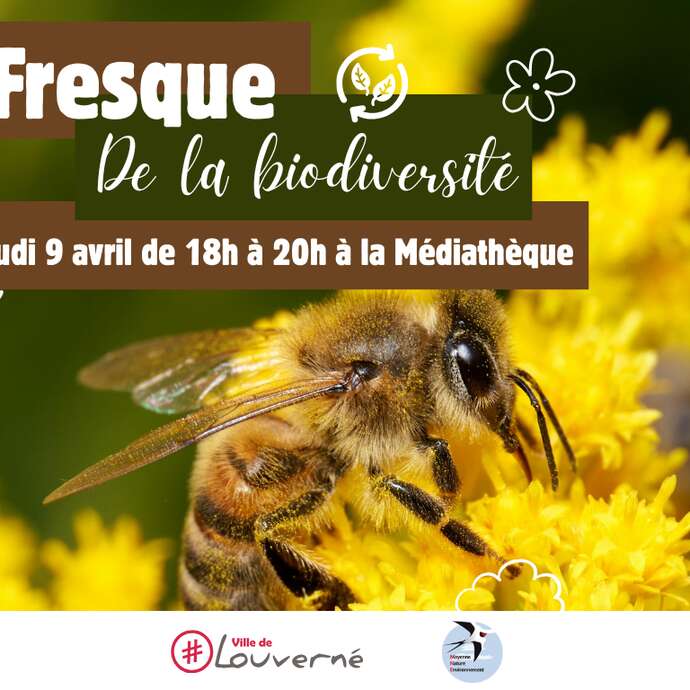 Fresque de la biodiversité