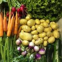 PRODUITS BIO - LÉGUMES À LA CHEVRIE