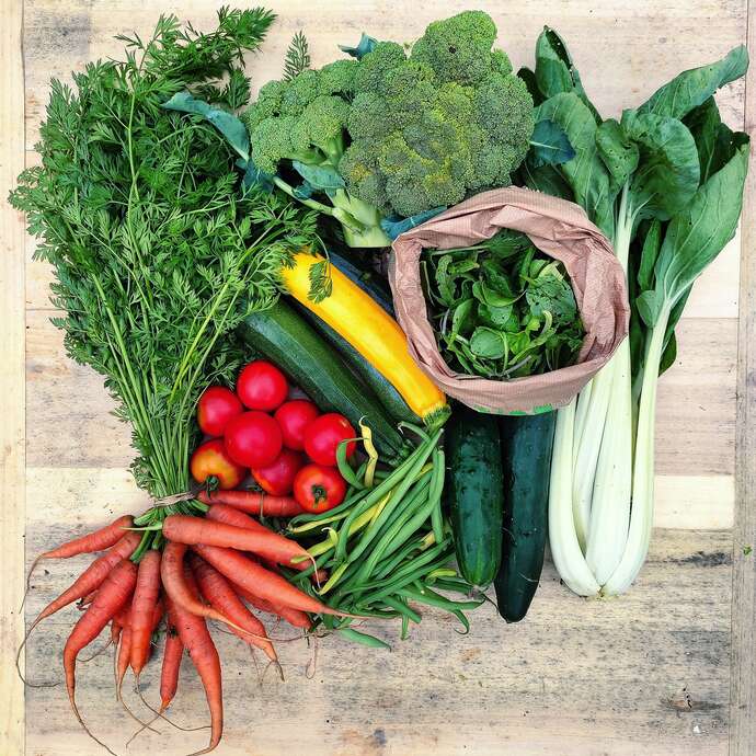 Fruits et légumes - Les Jardins Ty-Bio