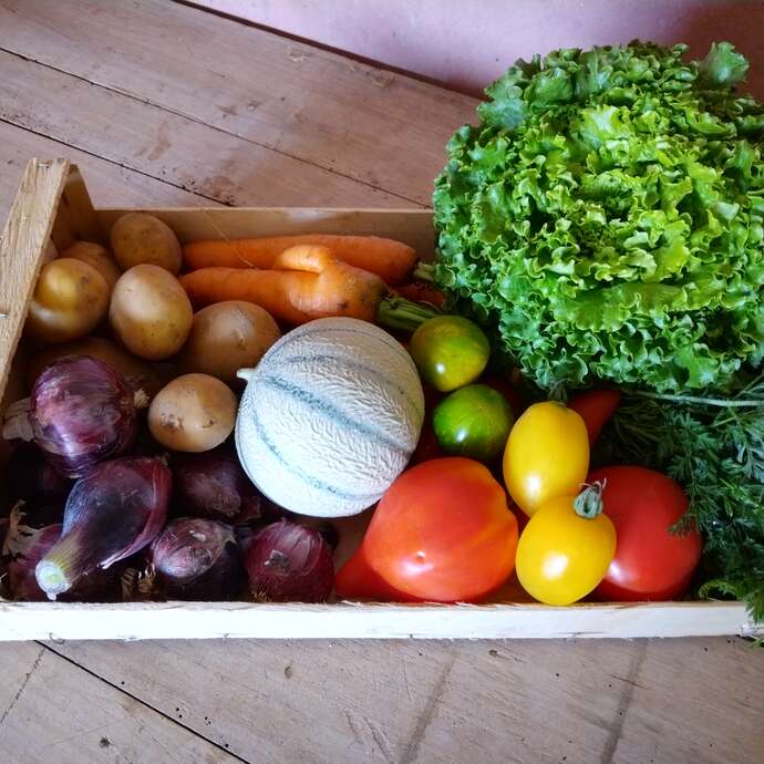 Fruits et légumes - Le Jardin du Bocage
