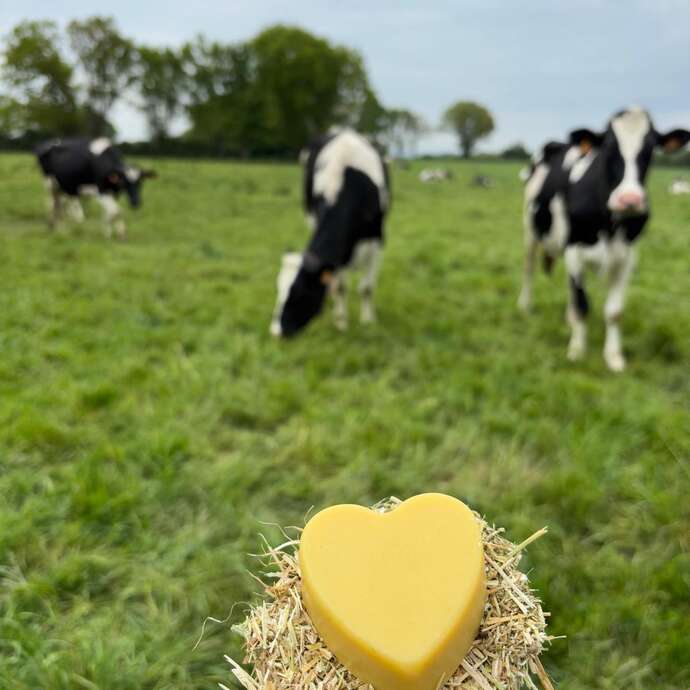 Savon de la Ferme pedagogique du Coudray