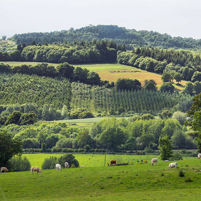 SITE DU MONT-ROCHARD