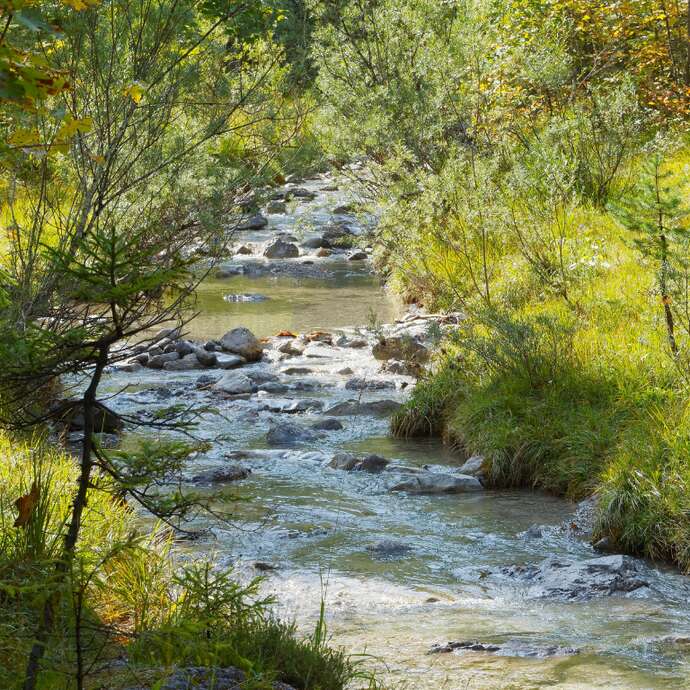 Sortie nature : Les habitants des rivières