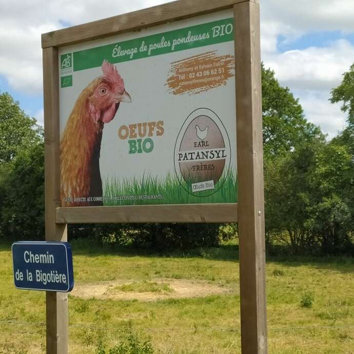 EARL PATANSYL FRÈRES