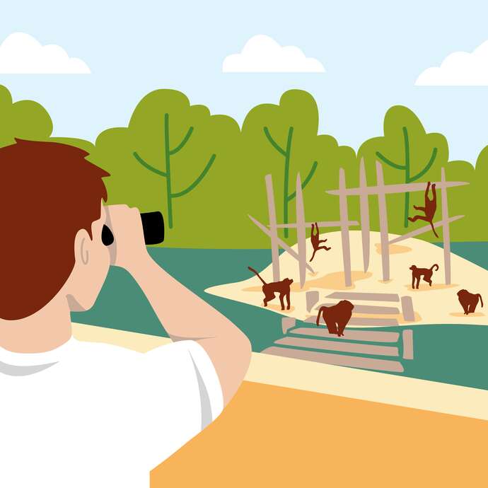 Atelier Initiation à l’éthologie