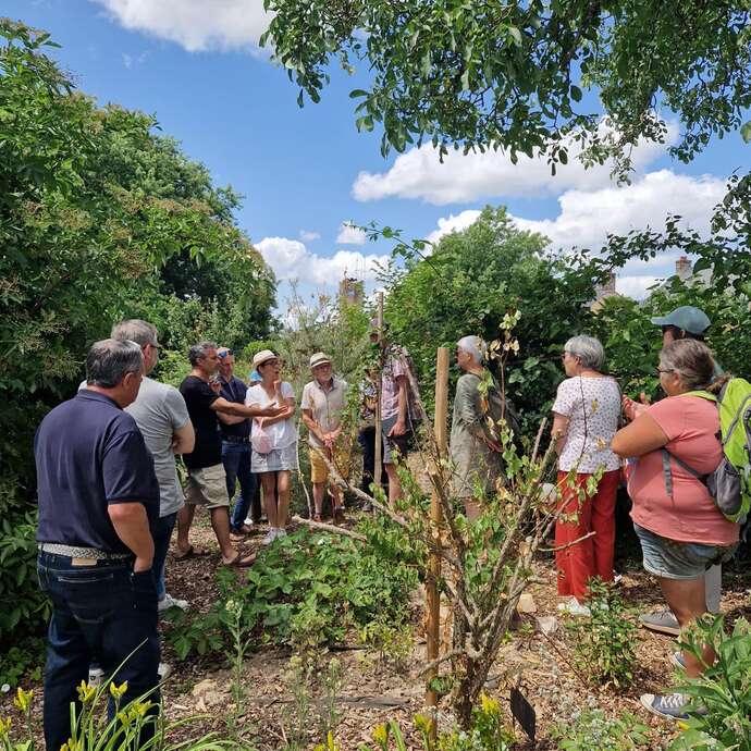 Visite de la forêt gourmande