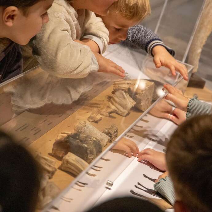 Les anim'os préhistoriques